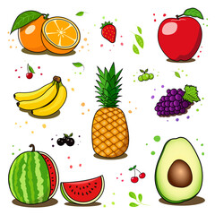 Fruit set collection, vector illustration and colurful sketch and icons style.