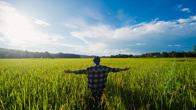 Beautiful Dramatic Portrait Of Asian Man Rural Happy Farmer Standing In The Rice Field , In A Day Time Summer. Pleased Farmer Is Happily Enjoying Flourished Agricultural Crops.