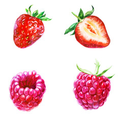 Watercolor illustration, set. Strawberries, raspberries, halves of berries.