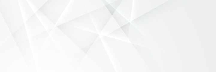 Obraz premium elegant abstract white banner background with shiny lines
