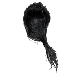 Wet long hair on isolated background, 3D render, 3D illustration