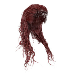 Wet long hair on isolated background, 3D render, 3D illustration