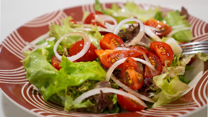 simple salad that consists of a bunch of tomatoes, onion, and lettuce poured with dressing to make it salty