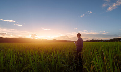 Asian farmer looks at his rice field, holding tablet hand after planting rice.