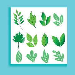 Set of green leaf icons. Leaves of trees and plants. Leaves icon. Collection green leaf. Elements design for natural,bio, vegan labels. Vector illustration.