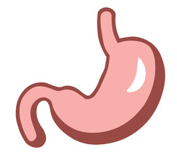 Fototapeta premium stomach and digestion system vector. The human stomach is in cartoon style.