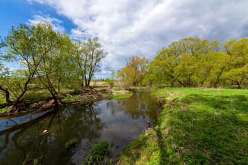 Fototapeta na wymiar Forest green swamp with sky reflection..