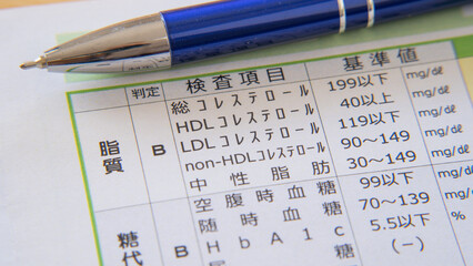 日本語の健康診断用紙｜脂質