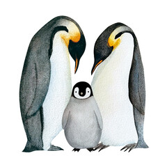 手書きの可愛いペンギンの親子の水彩画素材