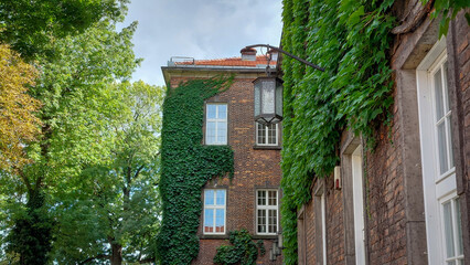 old red brick building covered in leaves