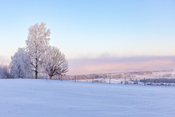 View at a the countryside a cold winter day