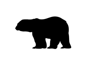 silhouette of a bear