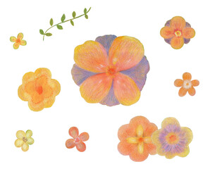 絵の具で描いた可愛いデザインの花のイラストレーションセット