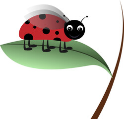 Ladybug on a leaf cartoon character vector illustration