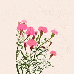Fototapeta premium pink rose background