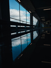 Reflection in a puddle
