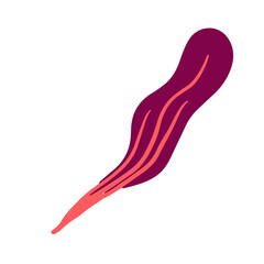 Trendy leaf illustration in minimalist style for natural design element