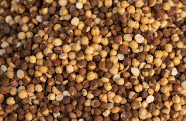 Roasted Chickpea  or Garbanzo Bean with Selective Focus in Horizontal Orientation, Also Known as Bengal Gram or Egyptian Pea