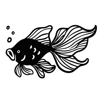 fish illustration hand drawn for design element.