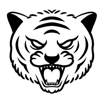 tiger illustration hand drawn for design element.