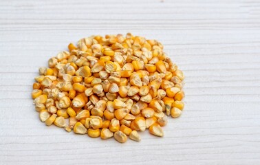 Closeup of Corn Seed or Maize Seeds Isolated on White Wooden Background