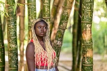 the best view of Portrait of a young coloured girl among bamboo 