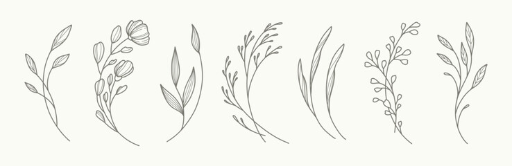 Minimal hand drawn floral botanical art. Trendy elements of wild and garden plants, branches, leaves, flowers, herbs. Vector illustration for logo or tattoo, invitation save the date card © Feodora_21