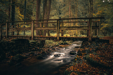 Natur und Landschaft Bayerischer Wald. Bayern Deutschland