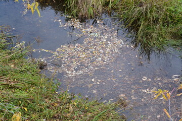 water flowing into the river