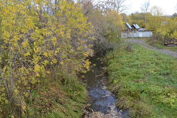 spring in the forest
