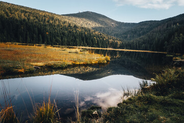 Natur und Landschaft Bayerischer Wald. Bayern Deutschland