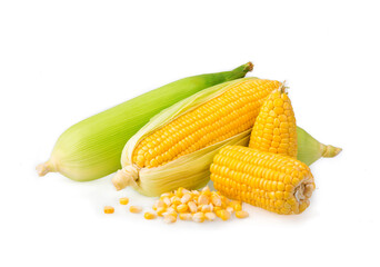 Raw corn isolated on white background