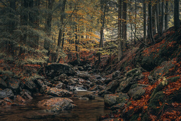Scenic shot of the Rissloch waterfalls near Bodenmais in Bavarian Forest, Germany