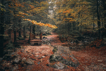 Herbst Rißlochwasserfälle im Naturpark Bayerischer Wald. Bayern Deutschland