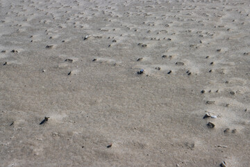 Wet abstract sand pattern for background