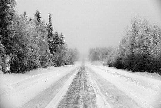 Forest road covered with snow on a foggy day in Ylitornio, Finland
