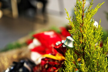 道端のクリスマスツリー