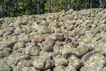 Glacier Rock field covering the terrain and path in woodland parts of dramatic Skuleskogen National Park, in Sweden High Coast.