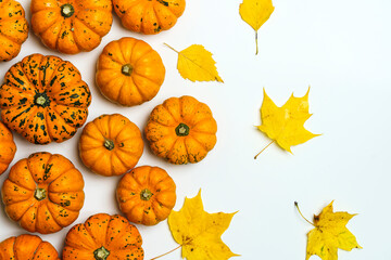 Pumpkins on white isolated background. Yellow autumn harvest pumpkins on empty backdrop. Fall holidays, halloween, thanksgiving day, food concept.