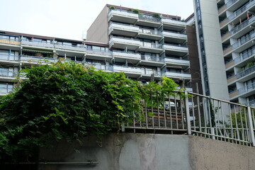 FU 2021-08-22 Blumen 51 Vor dem Hochhaus ist ein Geländer mit Pflanzen