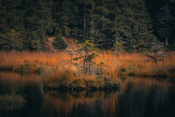 Kleiner Arbersee im Arberland Bayerischer Wald