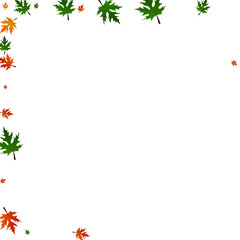 Golden Floral Background White Vector. Plant Logo Texture. Green October. Nature Frame. Brown Maple Down.