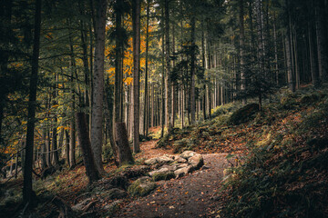 Kleiner Arbersee im Arberland Bayerischer Wald