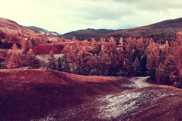 altai berg steppe landschaft natur russland © kichigin19