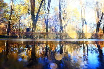 fall park view decoration, wallpaper autumn yellow season