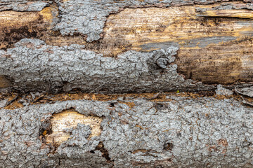 Stack Wooden Logs