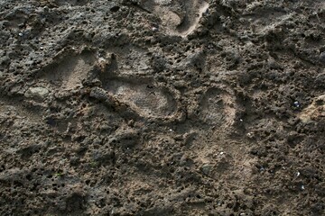 The ground is dry after the water recedes.