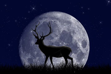 moon illustration at night with silhouette deer