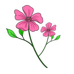 flower card illustration hand painted ornamental plant decorative