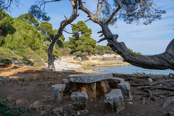 Île Sainte Marguerite (île de Lérins, Cannes) 